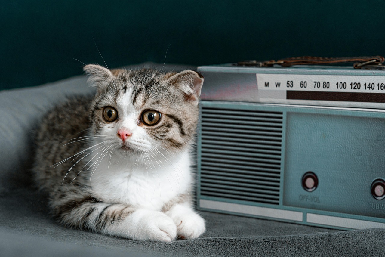 Hoe stop ik mijn radio met pairen?